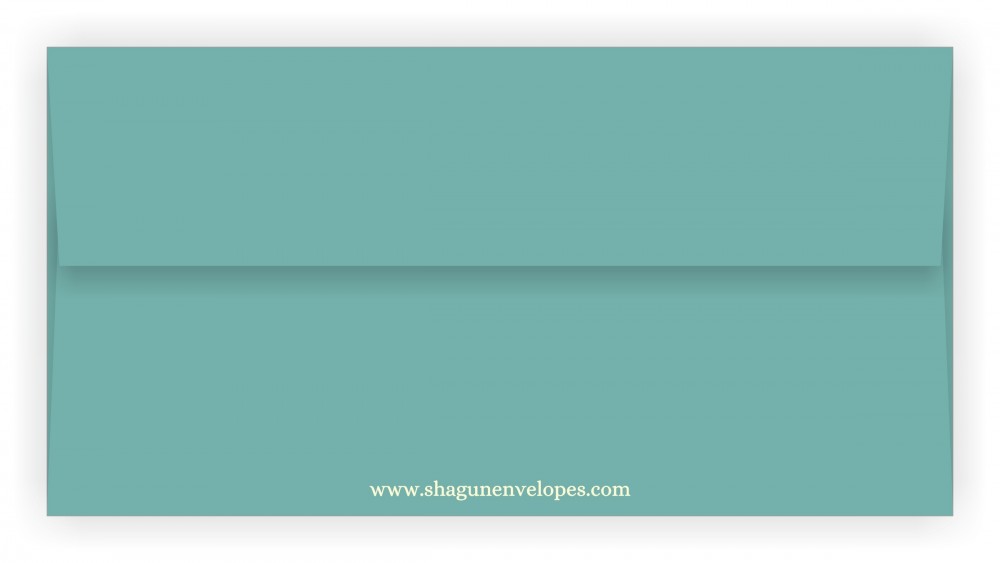 Shagun Envelopes