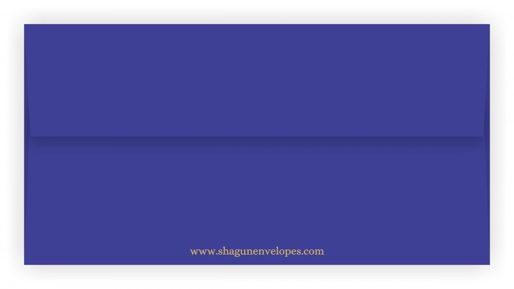 Shagun Envelopes