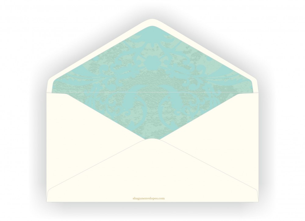 Shagun Envelopes