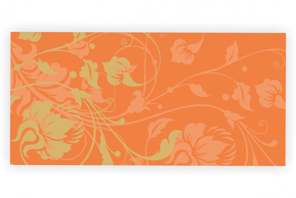 Shagun Envelopes