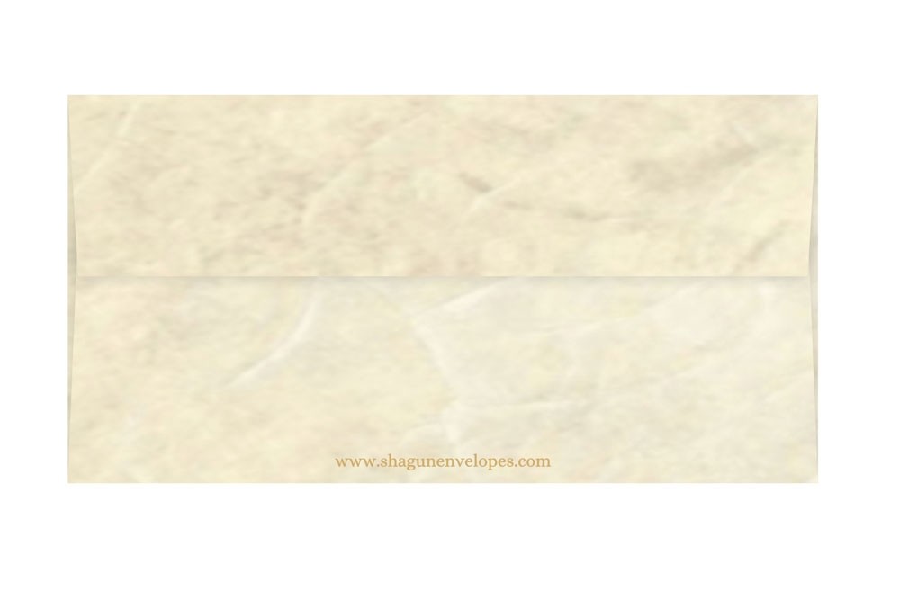 Shagun Envelopes
