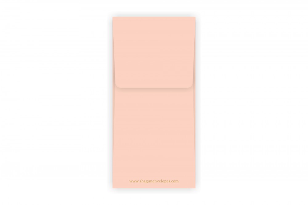 Shagun Envelopes